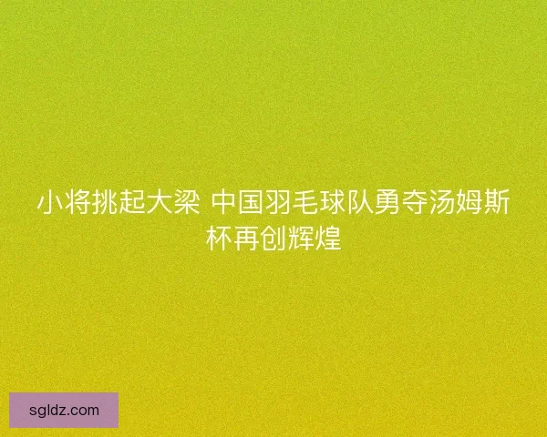 小将挑起大梁 中国羽毛球队勇夺汤姆斯杯再创辉煌